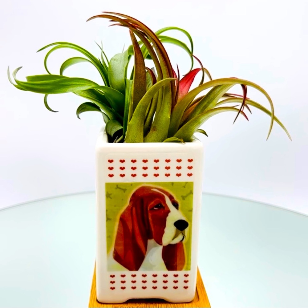 BASSET HOUND Dog Art Hand Crafted Home Decor Planter Office Organizers Pet Gifts